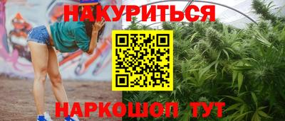 ешки Кингисепп