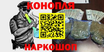шишки Кинель