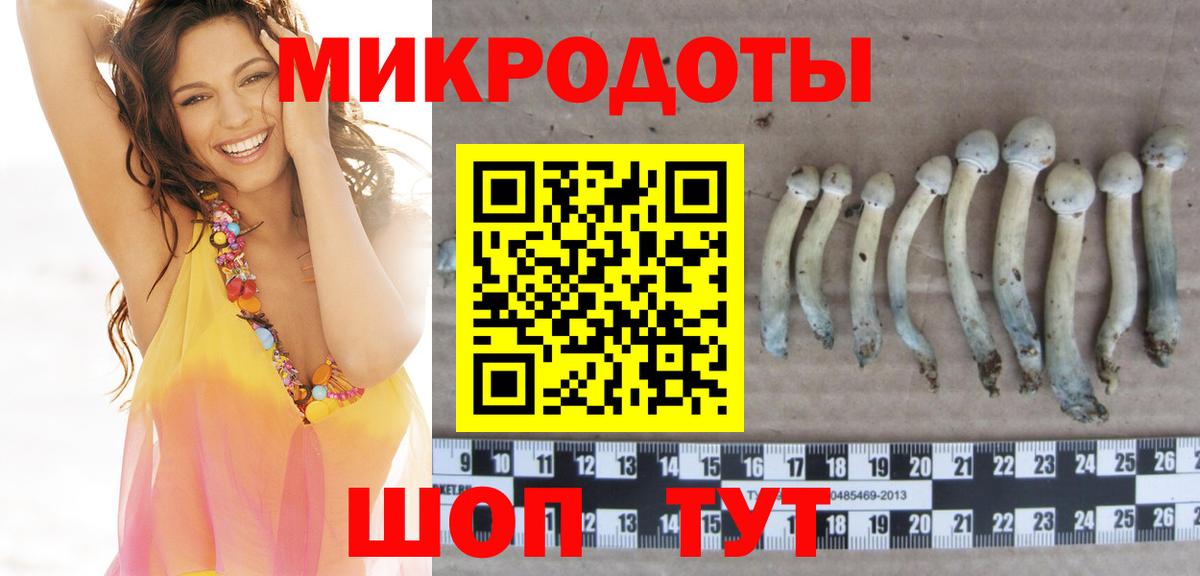 Псилоцибиновые грибы прущие грибы Куйбышев